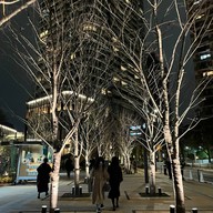 Teamlab Borderless Mori Building