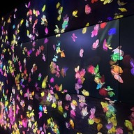 Teamlab Borderless Mori Building