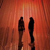 Teamlab Borderless Mori Building