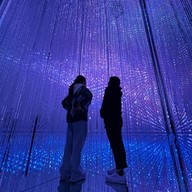 Teamlab Borderless Mori Building