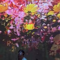 Teamlab Borderless Mori Building