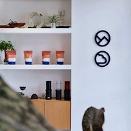 บรรยากาศ Forest Cloud