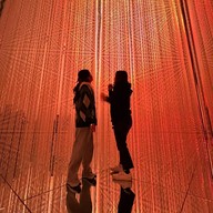 Teamlab Borderless Mori Building