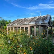 ปราณเบอร์รี่ ปราณบุรี