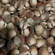 โกเที้ยมฟาร์ม ตู้กับข้าวชาวสุราษฎร์