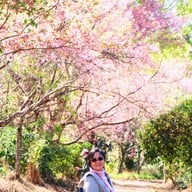 บรรยากาศ ศูนย์วิจัยเกษตรหลวงเชียงใหม่ (ขุนวาง)