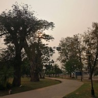 บรรยากาศ สวนสาธารณะกุดป่อง