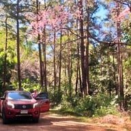 บรรยากาศ ศูนย์วิจัยเกษตรหลวงเชียงใหม่ (ขุนวาง)
