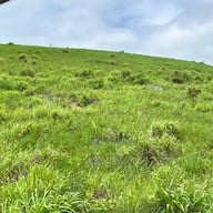 กังหันลมเขายายเที่ยง