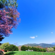 บรรยากาศ ศูนย์วิจัยเกษตรหลวงเชียงใหม่ (ขุนวาง)