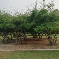 บรรยากาศ สวนสาธารณะกุดป่อง