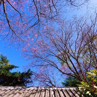 บรรยากาศ ศูนย์วิจัยเกษตรหลวงเชียงใหม่ (ขุนวาง)