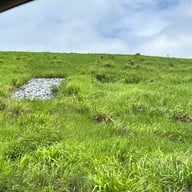 กังหันลมเขายายเที่ยง