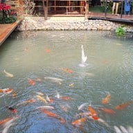 บรรยากาศ 9Feb. CAFE & VEGGIE FARM