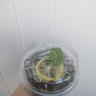 DOSE Lemon Honey เอเชียทีค