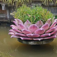 วัดสวนแก้ว