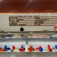 Scoops House -