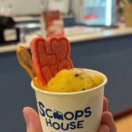 Scoops House -
