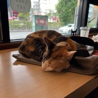 Cazz Cafe - แคซคาเฟ่ สุขุมวิท พระโขนง