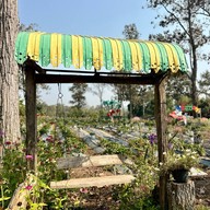 ไร่สตรอว์เบอร์รี พีอาร์ 495