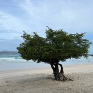 หาดเทียน เกาะล้าน