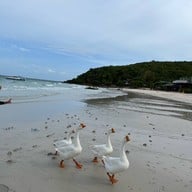 หาดเทียน เกาะล้าน