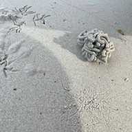 หาดเทียน เกาะล้าน