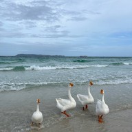 หาดเทียน เกาะล้าน