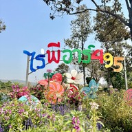 ไร่สตรอว์เบอร์รี พีอาร์ 495