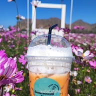 Enjoy Flowers By Anon