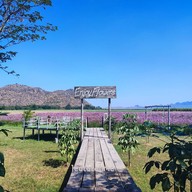 บรรยากาศ Enjoy Flowers By Anon