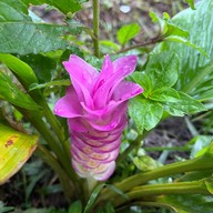 ผาสุดแผ่นดิน