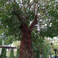 บ้านคุณหมอ รีสอร์ท