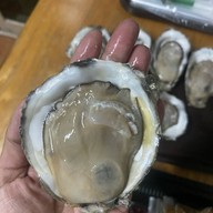 หอยนางรมสุราษฎร์ bkk เจริญนคร เจริญนคร