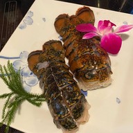 Rokkasen ชินจุกุ