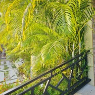 ครัวอู่ข้าวอู่น้ำ