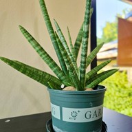 ครัวอู่ข้าวอู่น้ำ