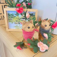 Mont Cafe & Restaurant พัฒนาการตัดใหม่