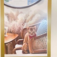 Mont Cafe & Restaurant พัฒนาการตัดใหม่