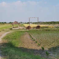 บรรยากาศ ไร่แสนสุขคาเฟ่