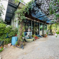 โคกคาเฟ่