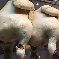 หมูปิ้งโบราณ แม่สมบูรณ์ ข้าวเหนียวหมูปิ้ง แม่สมบูรณ์