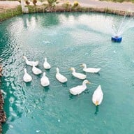 กรีนวิลล์ ฟาร์มคาเฟ่ บางคล้า