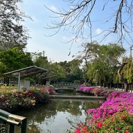 สวนพฤกษ คลองจั่น