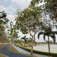 สวนสาธารณะหนองประจักษ์ศิลปาคม