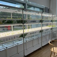 Amway Café Amway สำนักงานใหญ่