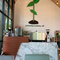 ร้านต้นไม้ 126 คาเฟ่