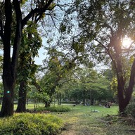 สวนพฤกษ คลองจั่น