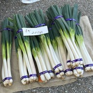 Miyakawa Morning Market