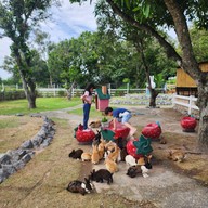 Khao Yai Farm Village